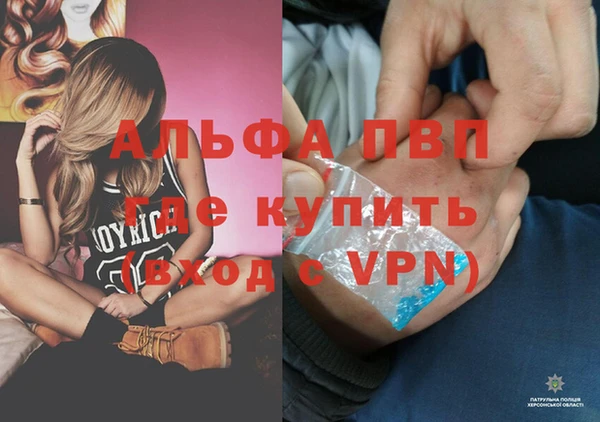 mdpv Белокуриха